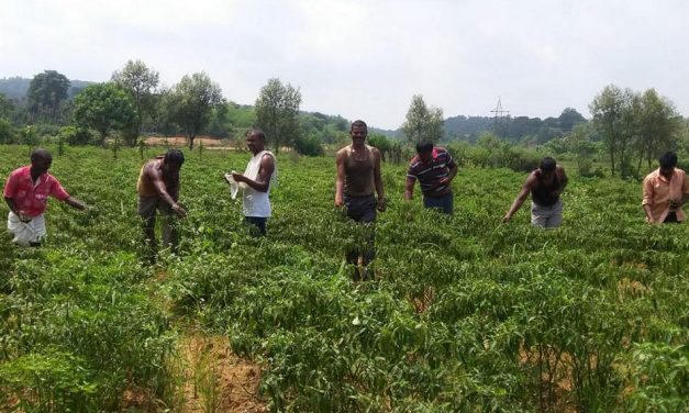 ಬಿಡುಗಡೆಯೆಂಬ ರೆಕ್ಕೆಯೊಂದಿಗೆ ಮಾತು:ಸುಜಾತಾ ತಿರುಗಾಟ ಕಥನ