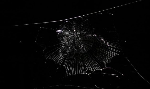 ಡಾ. ಅಭಿಜಿತ್ ತೆಗೆದ ಜೇಡರ ಬಲೆಯ ಚಿತ್ರ.