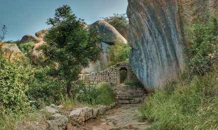 ಪ್ರಶಾಂತ್ ತೆಗೆದ ಈ ದಿನದ ಚಿತ್ರ