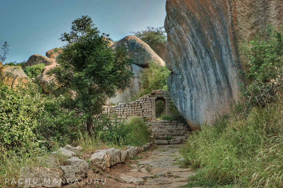 ಪ್ರಶಾಂತ್ ತೆಗೆದ ಈ ದಿನದ ಚಿತ್ರ