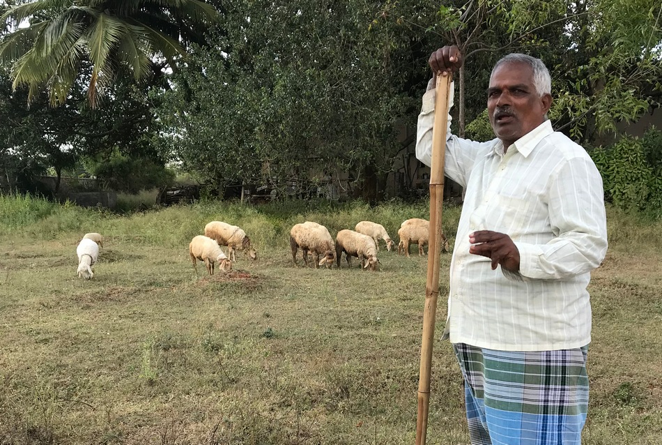 ಅಮೇರಿಕಾದ ಡಾಲಸ್ ನಲ್ಲಿ ಉಳಿದಿರುವ ಕೌ ಕ್ಯಾಂಪ್ ನ ಚಿತ್ರಗಳು: ಸುಜಾತಾ ತಿರುಗಾಟ ಕಥನ