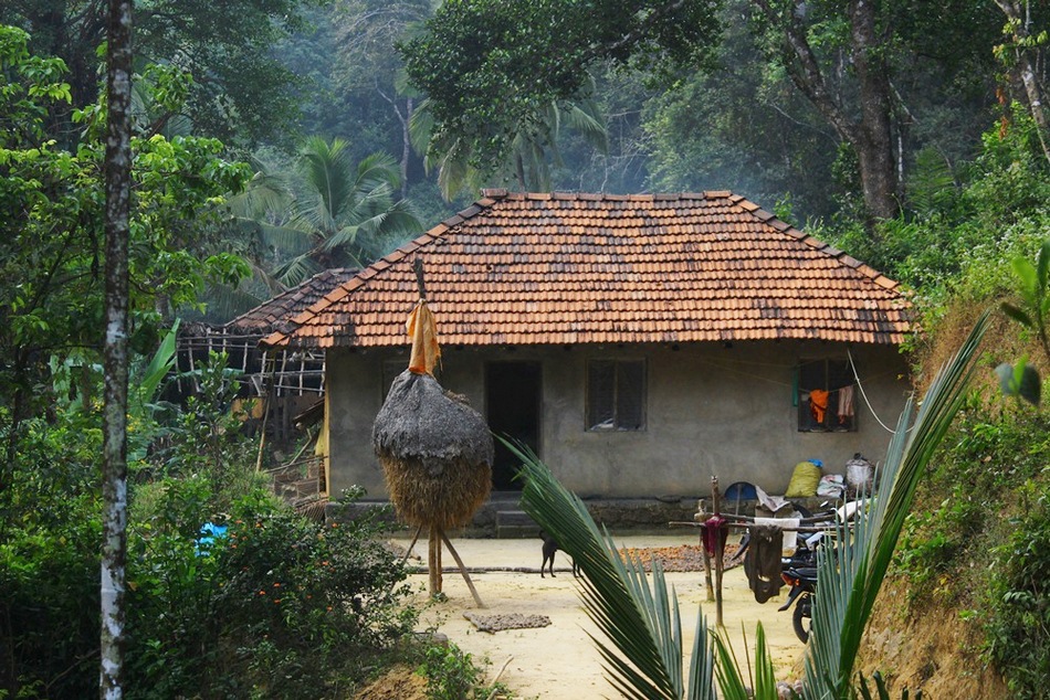 ಕಾಡ ಮಾಡಿನಲ್ಲಿ ನೆಲೆಸಿದ ಕುಟುಂಬದ ಕಥೆ: ಪ್ರಸಾದ್ ಶೆಣೈ ಕಥಾನಕ