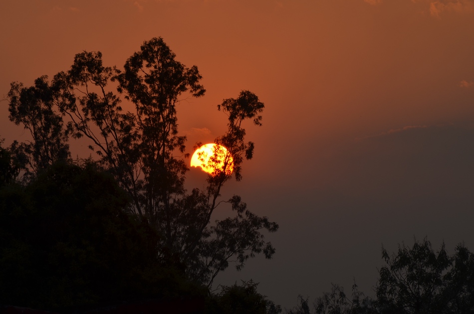 ರೇಣು ಪ್ರಿಯದರ್ಶಿನಿ ತೆಗೆದ ಈ ದಿನದ ಚಿತ್ರ