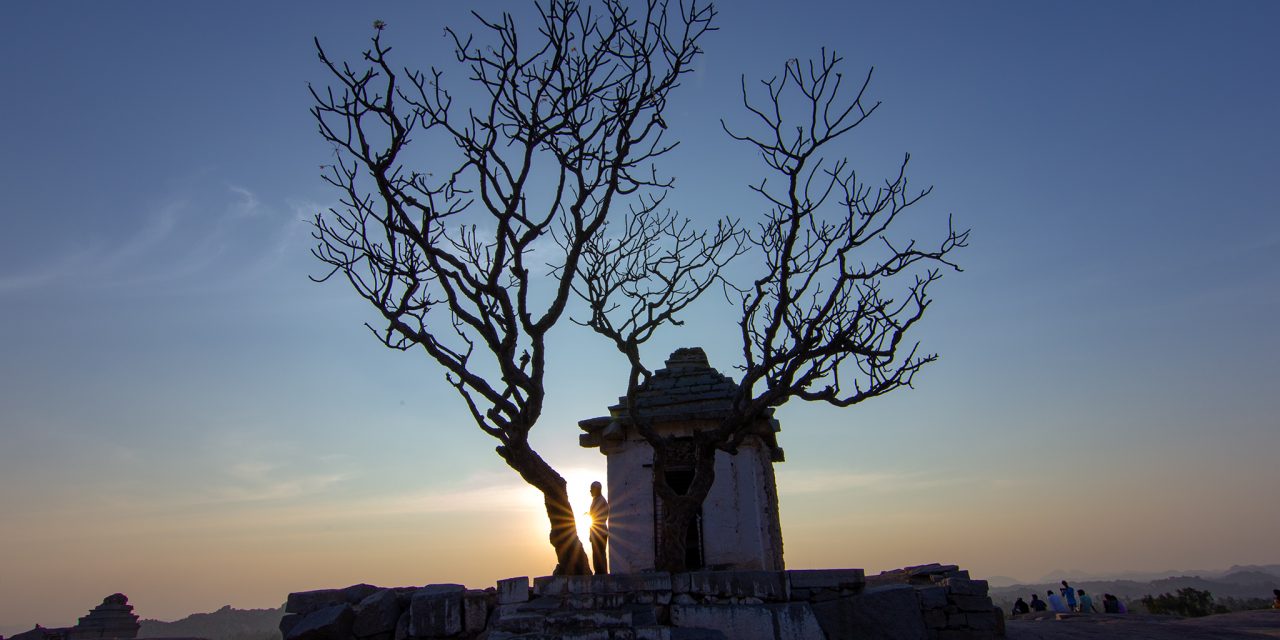 ಅಮೀನ್ ಅತ್ತಾರ ತೆಗೆದ ಈ ದಿನದ ಚಿತ್ರ