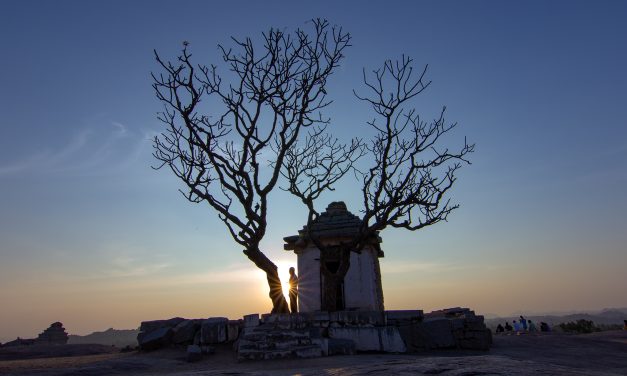 ಅಮೀನ್ ಅತ್ತಾರ ತೆಗೆದ ಈ ದಿನದ ಚಿತ್ರ