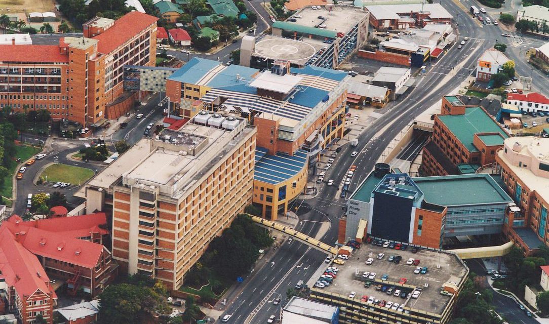 ಸೌಂದರ್ಯ ಉಪಾಸನೆಯಲ್ಲಿ ಕಳೆದುಹೋದವರು: ವಿನತೆ ಶರ್ಮಾ ಅಂಕಣ