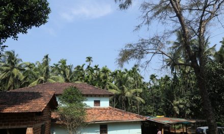 ಔಪಚಾರಿಕವಲ್ಲದ ಉಪಚಾರದ ಸೊಬಗಂದ್ರೇ…: ರೂಪಶ್ರೀ ಅಂಕಣ