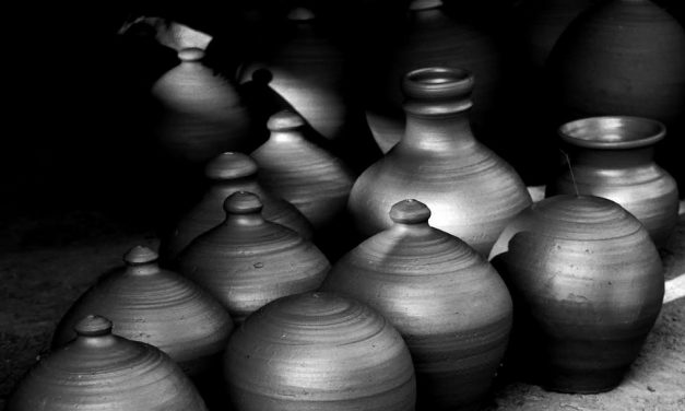 ರೇಣು ಪ್ರಿಯದರ್ಶಿನಿ ತೆಗೆದ ಈ ದಿನದ ಚಿತ್ರ