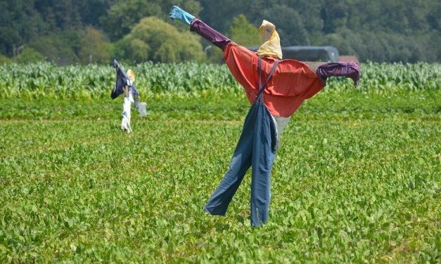 ಕವಿ ತಿರುಮಲೇಶರು ಬರೆದ ಬೆರ್ಚಪ್ಪ ಪ್ರಪಂಚ