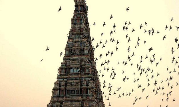 ಉಷಾ ಬಿ. ಎನ್ ತೆಗೆದ ಈ ದಿನದ ಚಿತ್ರ