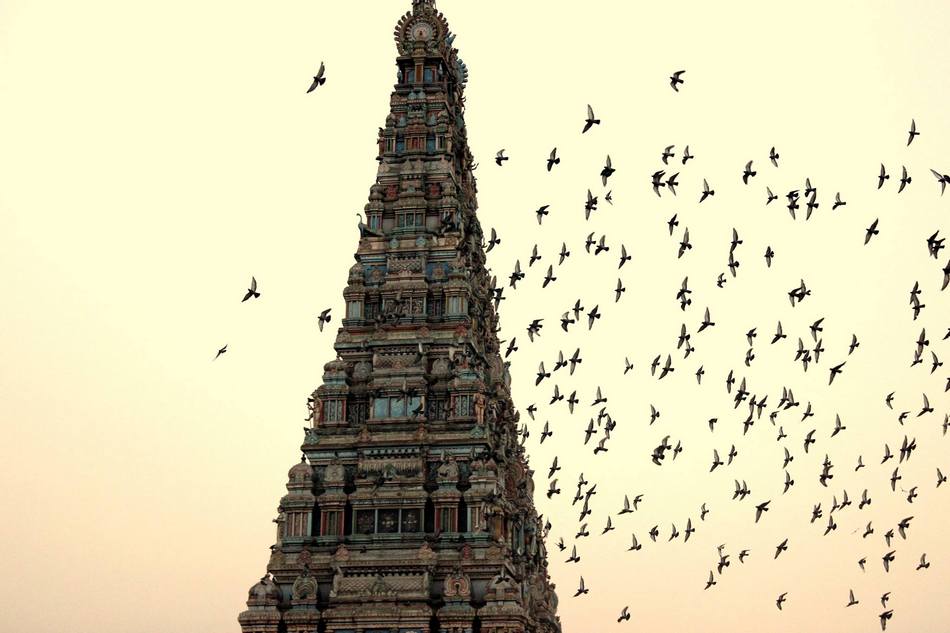 ಉಷಾ ಬಿ. ಎನ್ ತೆಗೆದ ಈ ದಿನದ ಚಿತ್ರ