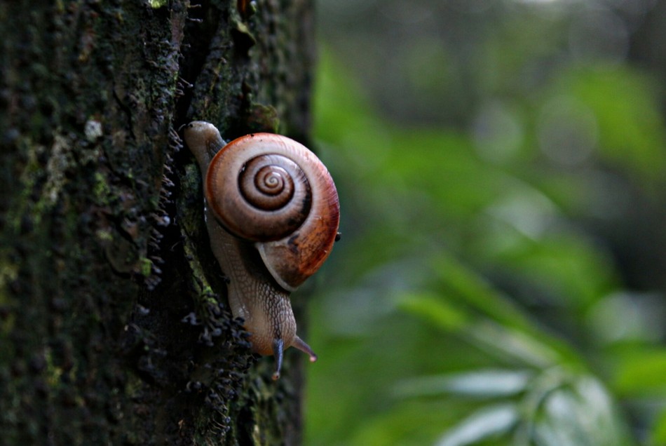 ಕೃಷ್ಣ ದೇವಾಂಗಮಠ ತೆಗೆದ ಈ ದಿನದ ಚಿತ್ರ
