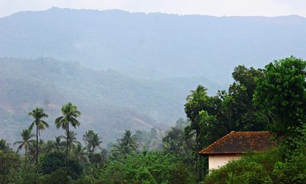 ವಾಲಿಕುಂಜದ ಕಾಡಲ್ಲಿ ಮಳೆ ಮಾತಾಡಿತು: ಪ್ರಸಾದ್ ಶೆಣೈ ಮಾಳ ಕಥಾನಕ
