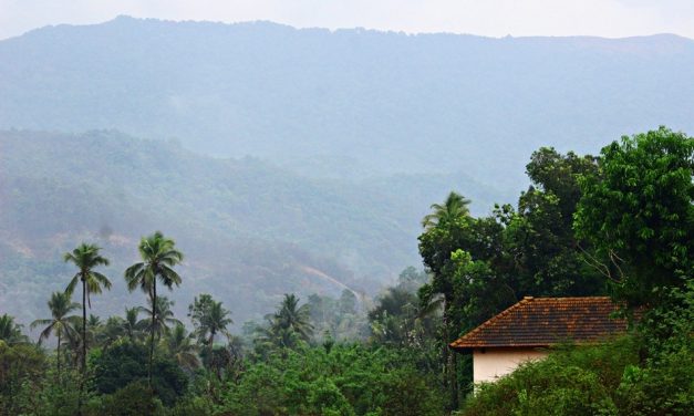 ವಾಲಿಕುಂಜದ ಕಾಡಲ್ಲಿ ಮಳೆ ಮಾತಾಡಿತು: ಪ್ರಸಾದ್ ಶೆಣೈ ಮಾಳ ಕಥಾನಕ