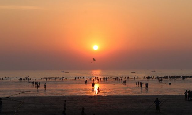 ಚೇತನಾ ತೆಗೆದ ಈ ದಿನದ ಚಿತ್ರ