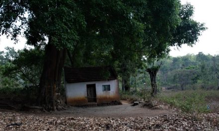 ರಂಗನಬೆಟ್ಟದ ಕುಸುಮಾಲೆಯರ ಖುಷಿಗಳ ಕುರಿತು:ಮಧುರಾಣಿ ಅಂಕಣ