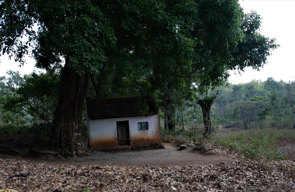 ರಂಗನಬೆಟ್ಟದ ಕುಸುಮಾಲೆಯರ ಖುಷಿಗಳ ಕುರಿತು:ಮಧುರಾಣಿ ಅಂಕಣ