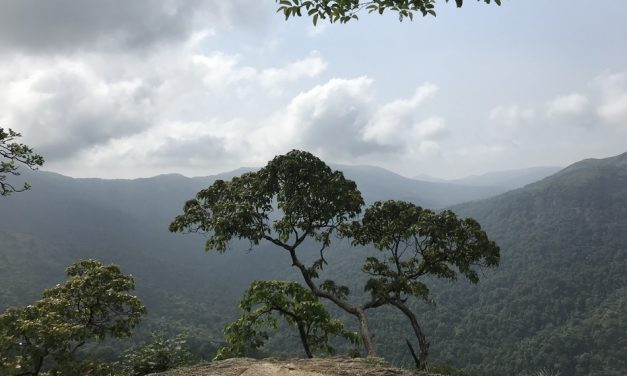 ಮರಸು ಅನ್ನೋ ಊರಿನ ಸ್ಥಳ ಪುರಾಣ: ಸುಜಾತಾ ತಿರುಗಾಟ ಕಥನ