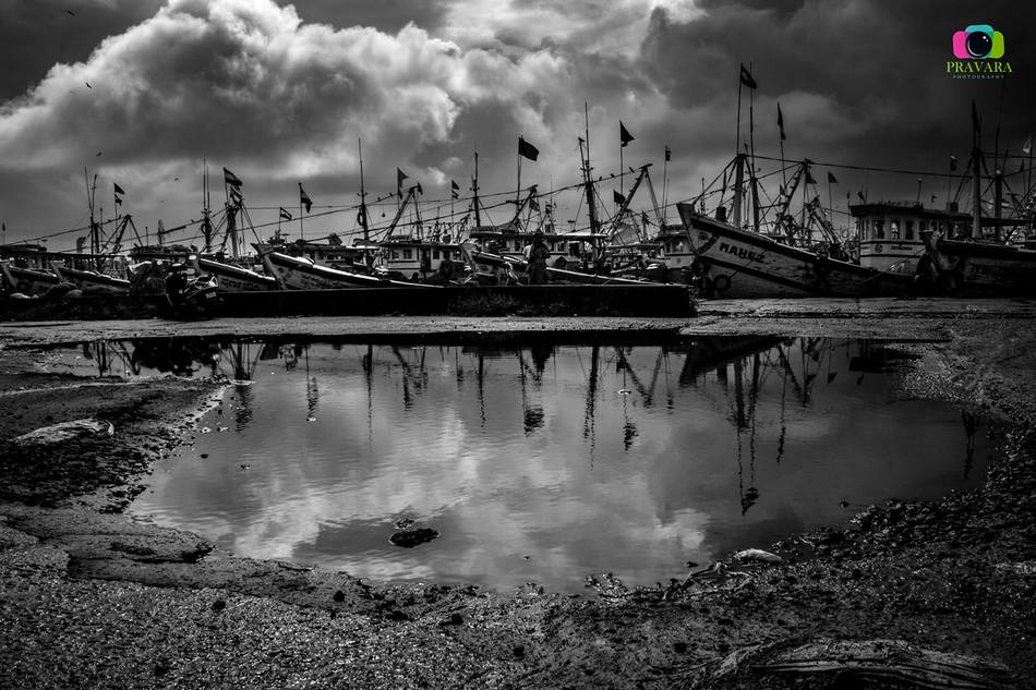 ಪ್ರವರ ಕೊಟ್ಟೂರು ತೆಗೆದ ಈ ದಿನದ ಚಿತ್ರ