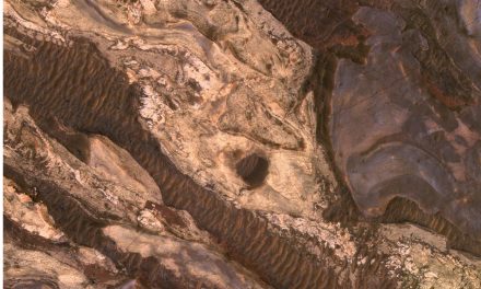 ಚಾಂದ್ ಪಾಷ  ಬರೆದ ಎರಡು ಹೊಸ ಕವಿತೆಗಳು