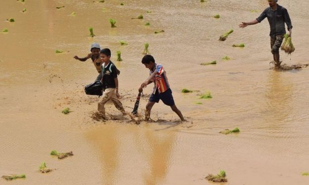 ಶಿವಪ್ರಸಾದ್ ಹಳುವಳ್ಳಿ ತೆಗೆದ ಈ ದಿನದ ಚಿತ್ರ.