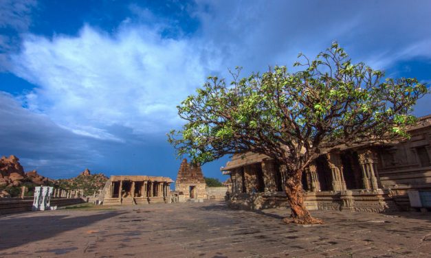ಅಮೀನ್ ಅತ್ತಾರ ತೆಗೆದ ಈ ದಿನದ ಚಿತ್ರ