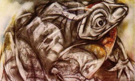 ನಜ್ಮಾ ನಜೀರ್ ಅನುವಾದಿಸಿದ ಅಮೃತಾ ಪ್ರೀತಮ್ ಕವಿತೆಗಳು