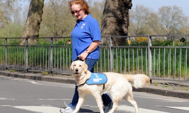 ಗೈಡ್ ಡಾಗ್ ಎಂಬ ಸಜ್ಜನ ಪ್ರಜೆ: ವಿನತೆ ಶರ್ಮಾ ಅಂಕಣ.