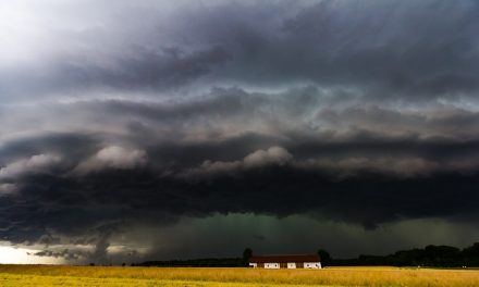 ಬಯಲು ಸೀಮೆಯ ಮಳೆ : ಕಪಿಲ ಪಿ. ಹುಮನಾಬಾದೆ ಲೇಖನ