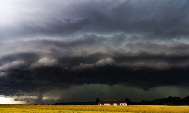 ಬಯಲು ಸೀಮೆಯ ಮಳೆ : ಕಪಿಲ ಪಿ. ಹುಮನಾಬಾದೆ ಲೇಖನ