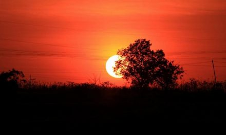 ಶ್ರೀಧರ ಟಿ.ಕೆ. ತೆಗೆದ ಈ ದಿನದ ಚಿತ್ರ