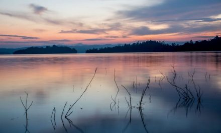 ಆದರ್ಶ ಬಿ.ಎಸ್ ತೆಗೆದ ಈ ದಿನದ ಚಿತ್ರ