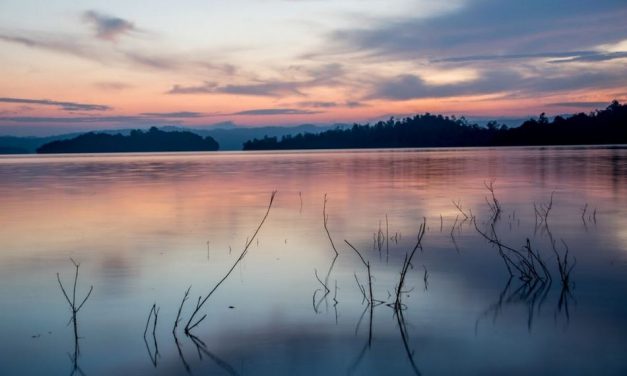 ಆದರ್ಶ ಬಿ.ಎಸ್ ತೆಗೆದ ಈ ದಿನದ ಚಿತ್ರ