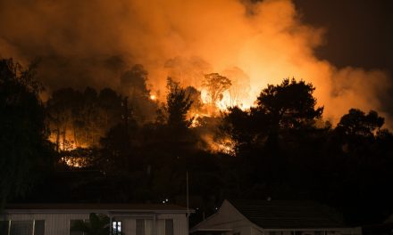 ರಾಣಿರಾಜ್ಯದಲ್ಲಿ ಬೆಂಕಿ ವಿಕೋಪ, ಪ್ರವಾಹ ತಾಪ: ವಿನತೆ ಶರ್ಮ ಅಂಕಣ
