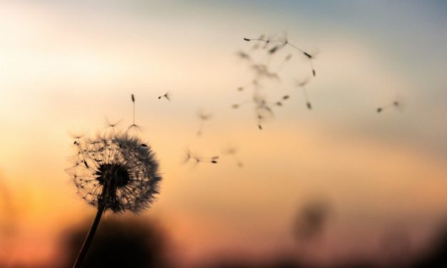 ತೊರೆದು ಜೀವಿಸಬಹುದೇ ನಿಮ್ಮ ಚರಣಗಳ: ಕೃಷ್ಣ ದೇವಾಂಗಮಠ ಅಂಕಣ