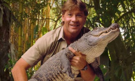 ಮೊಸಳೆ ಮಾಯಾವಿ ‘ಸ್ಟೀವ್ ಇರ್ವಿನ್’: ವಿನತೆ ಶರ್ಮಾ ಅಂಕಣ