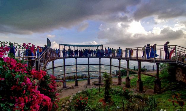 ಎ.ಎನ್.ಕೆ ಮೂರ್ತಿ ತೆಗೆದ ಈ ದಿನದ ಚಿತ್ರ