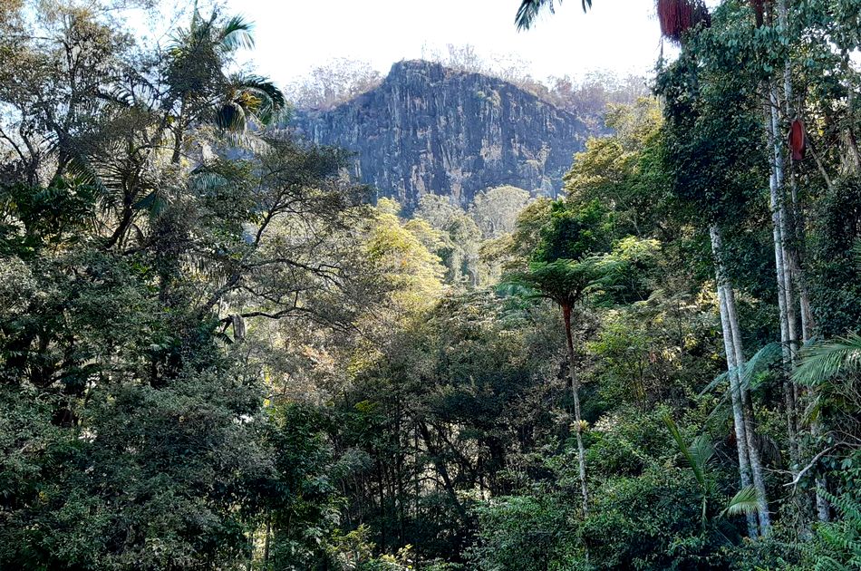 ಇದು ಎಂಥ ಲೋಕವಮ್ಮ…! : ವಿನತೆ ಶರ್ಮ ಅಂಕಣ