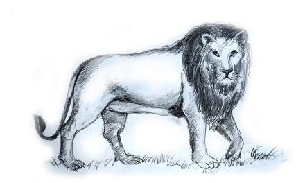 ಬೆಂಗಳೂರಲ್ಲಿ ಕಳೆದುಹೋದ ಸಿಂಹ: ಶಂಕರಪ್ಪ ಕೆ.ಪಿ. ಬರೆದ ಕತೆ