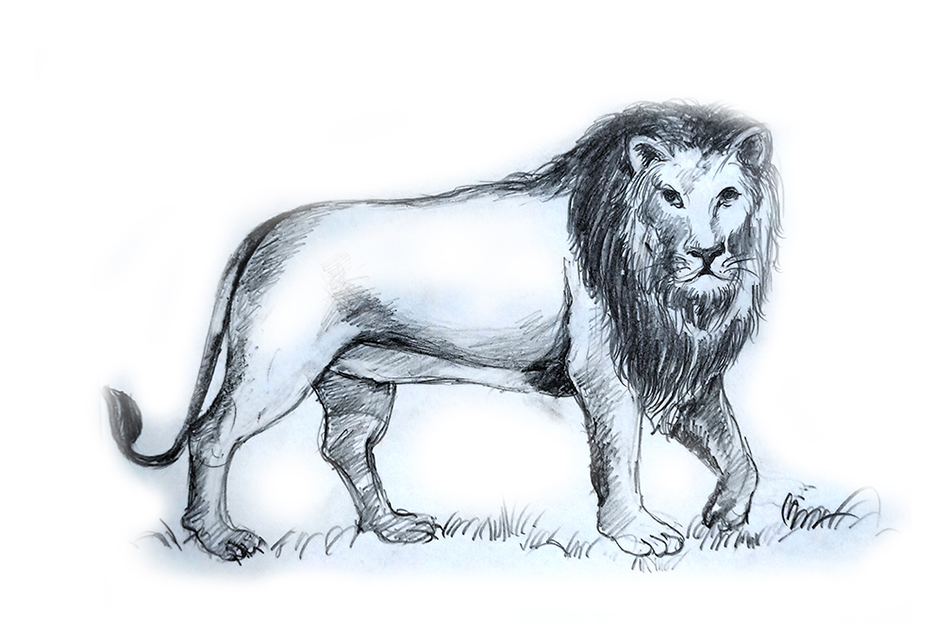 ಬೆಂಗಳೂರಲ್ಲಿ ಕಳೆದುಹೋದ ಸಿಂಹ: ಶಂಕರಪ್ಪ ಕೆ.ಪಿ. ಬರೆದ ಕತೆ