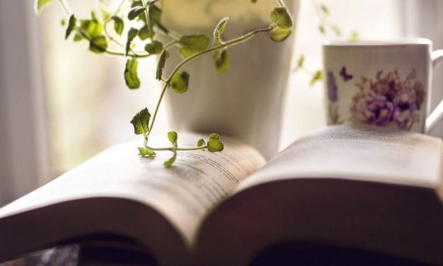 ಸಾಹಿತಿ ಮಾಹಿತಿ ಕೋಶ ಎಂಬ ಮುಗಿಯದ ರೊಮ್ಯಾನ್ಸ್: ಕೆ.ವಿ. ತಿರುಮಲೇಶ್ ಲೇಖನ