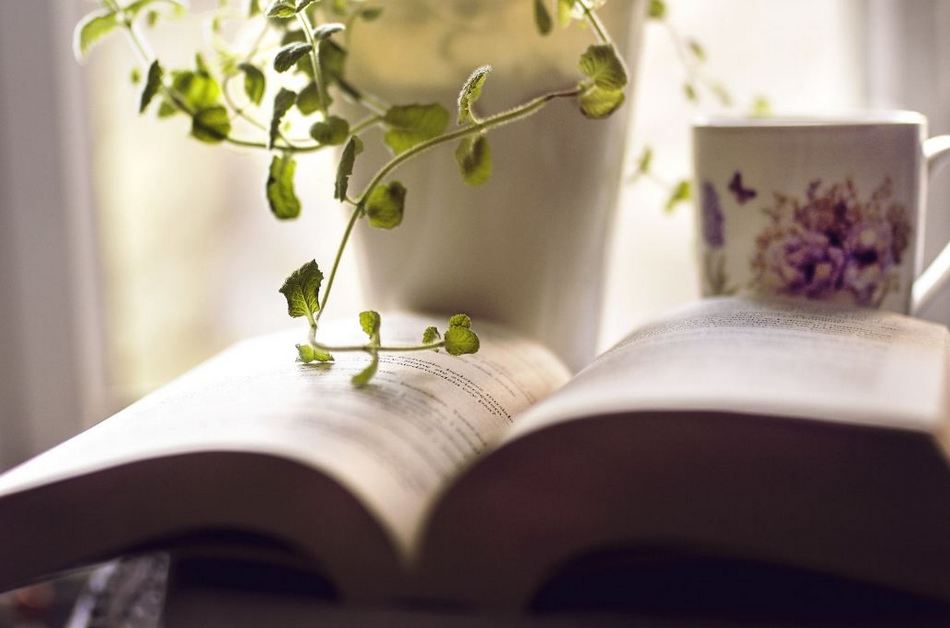 ಸಾಹಿತಿ ಮಾಹಿತಿ ಕೋಶ ಎಂಬ ಮುಗಿಯದ ರೊಮ್ಯಾನ್ಸ್: ಕೆ.ವಿ. ತಿರುಮಲೇಶ್ ಲೇಖನ