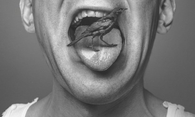 ಕನ್ನಡದಲ್ಲಿ ಡಾರ್ಕ್ ಹ್ಯೂಮರ್ ಪ್ರಯೋಗ: ಶ್ರೀಹರ್ಷ ಸಾಲಿಮಠ ಅಂಕಣ