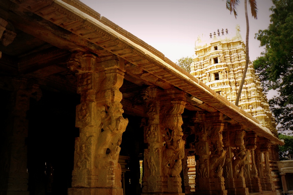 ಕೋಲಾರದ ಸೋಮೇಶ್ವರ ದೇವಾಲಯ: ಟಿ.ಎಸ್. ಗೋಪಾಲ್ ಬರೆಯುವ ದೇಗುಲಗಳ ಸರಣಿ