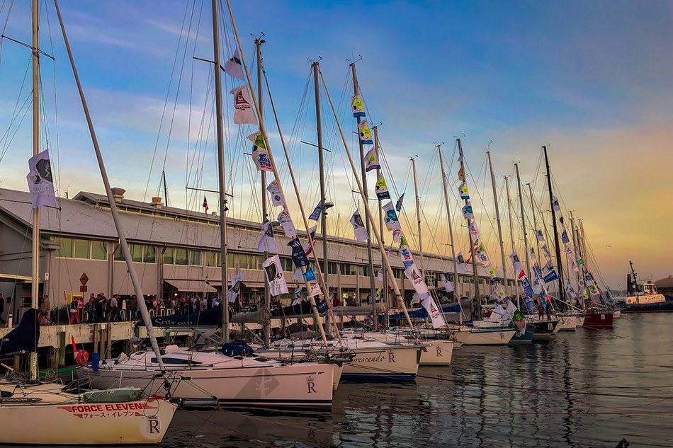 ನೀಲಿ ಕಡಲು, ಬೆಳ್ಳಿ ಚುಕ್ಕಿ ಮತ್ತು ಸಿಡ್ನಿ ಹಾಯಿದೋಣಿ ಸ್ಪರ್ಧೆ: ವಿನತೆ ಶರ್ಮಾ ಅಂಕಣ