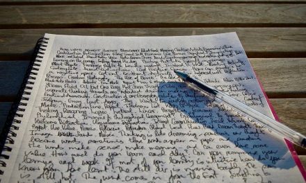 ‘ಎಲ್ಲಿ ಒಮ್ಮೆ ಹೊಡೆದು ತೋರಿಸಿ ನೋಡೋಣ?’: ಶ್ರೀಹರ್ಷ ಸಾಲಿಮಠ ಅಂಕಣ