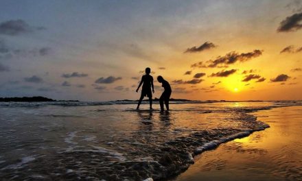 ಮಂಜುನಾಥ್ ಕಾಮತ್ ತೆಗೆದ ಈ ದಿನದ ಚಿತ್ರ