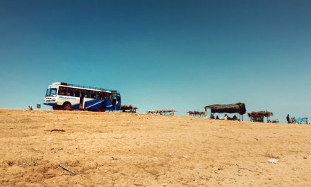 ಅಶ್ವತ್ಥ್ ರಾವ್ ತೆಗೆದ ಈ ದಿನದ ಚಿತ್ರ