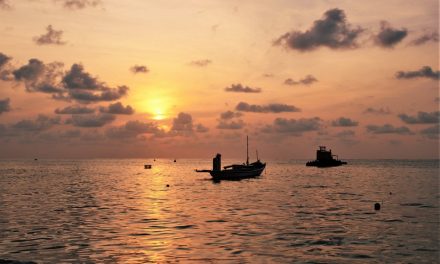 ಪತ್ನಿಯ ಕುತೂಹಲದಿಂದಾಗಿ ಹತನಾದ ಕಾವಲುಗಾರನ ಕಥೆ: ಅಬ್ದುಲ್ ರಶೀದ್ ಬರೆದ ಲಕ್ಷದ್ವೀಪ ಡೈರಿ