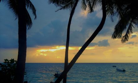 ತೆಂಗುತೋಪಿನಡಿಯ ಮನುಷ್ಯ ವ್ಯಾಪಾರಗಳು: ಅಬ್ದುಲ್ ರಶೀದ್ ಬರೆದ ಲಕ್ಷದ್ವೀಪ ಡೈರಿ